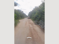 e63a067b-58f2-4db9-8e1a-6ccc42580fec