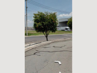 dc98a8c7-1be0-473c-87cc-d4d26448248d