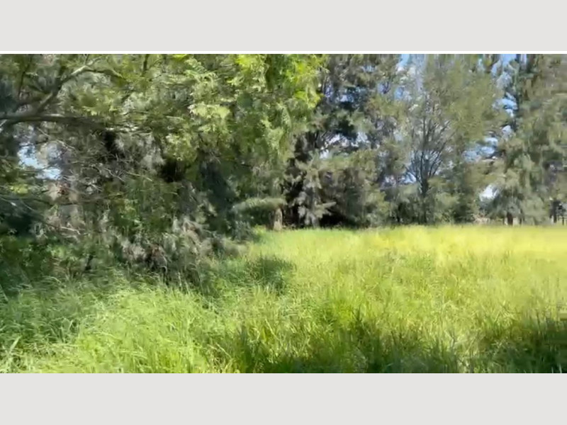 5a09c8a0-1b21-4d3e-9930-b6897de68772