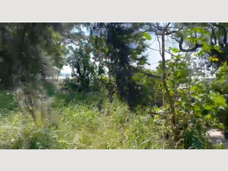 86593a03-1854-488f-bf76-464ca842449a