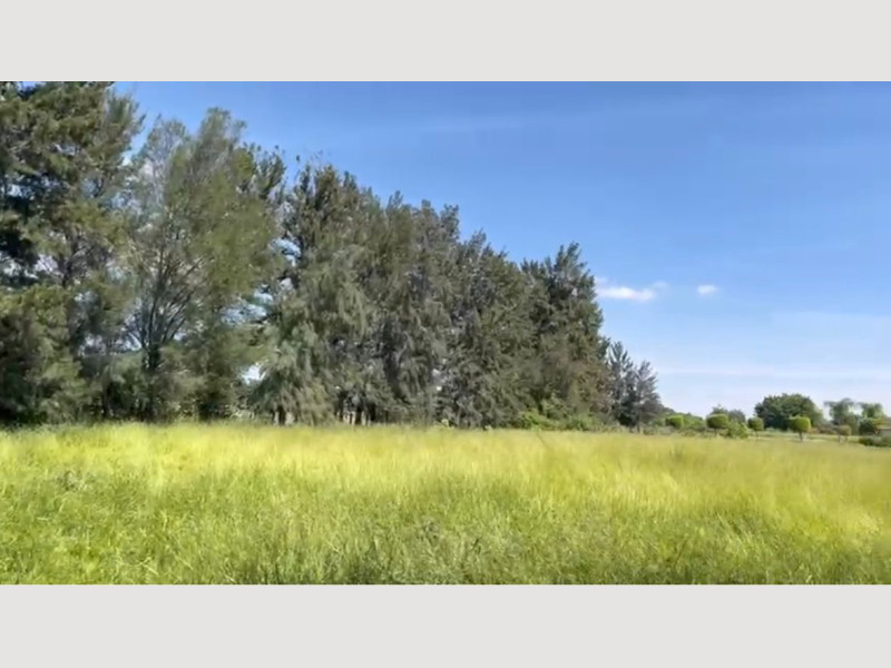 a420dd1e-f0a2-46b5-960a-b4f3fe458a8a