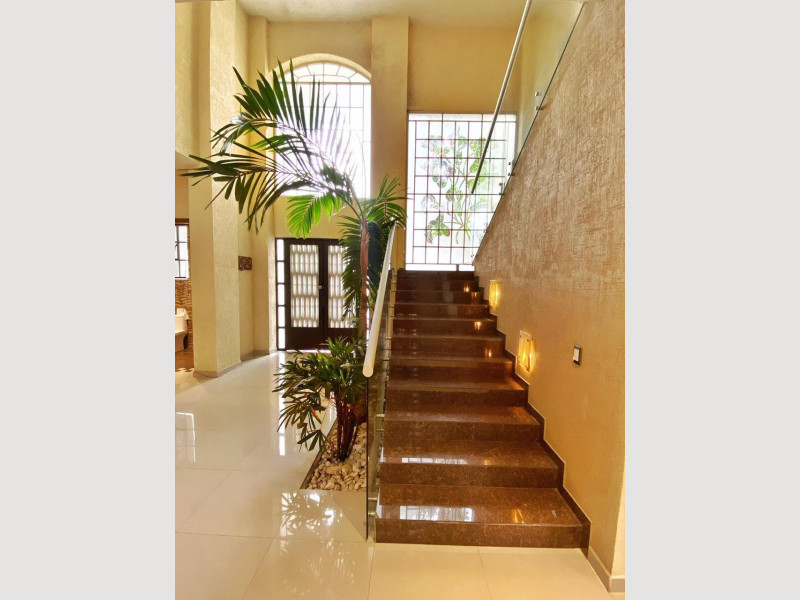 06d686d6-c3d6-4e61-93a9-9e6db1d355ae