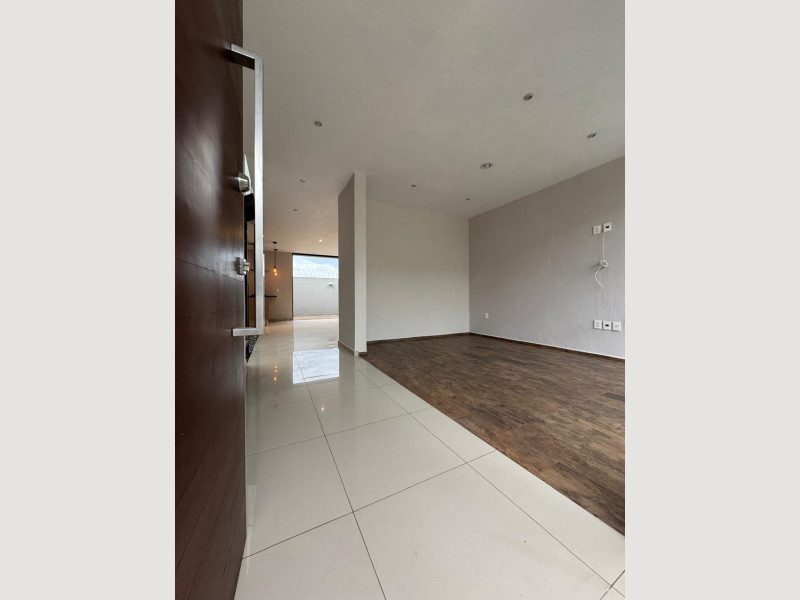 c37d0a7e-0b35-4b88-b8c7-746de24a0491