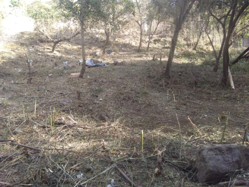 526565d8-6961-4f3c-8c29-a661c1585a18