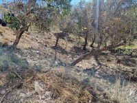 87422905-b39e-4e32-8b78-b82fb92bc2e8