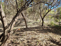 ca6db9c2-b6e4-45f6-8dcb-7ec456275030