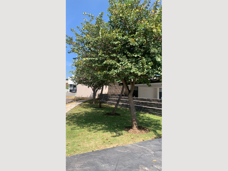 127a5d1b-17c9-4c06-bb63-9b32d6514794