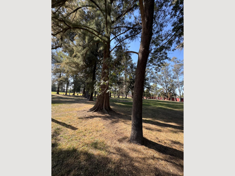 8537d6d1-f43c-403e-8ea4-8948953b4bd9