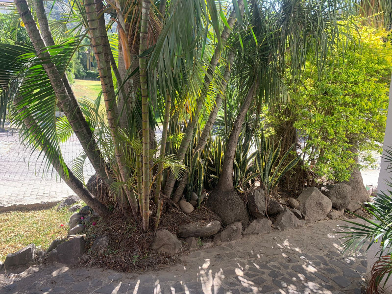 475d46b0-f8a8-4ebe-b5d2-2a49130be4ef