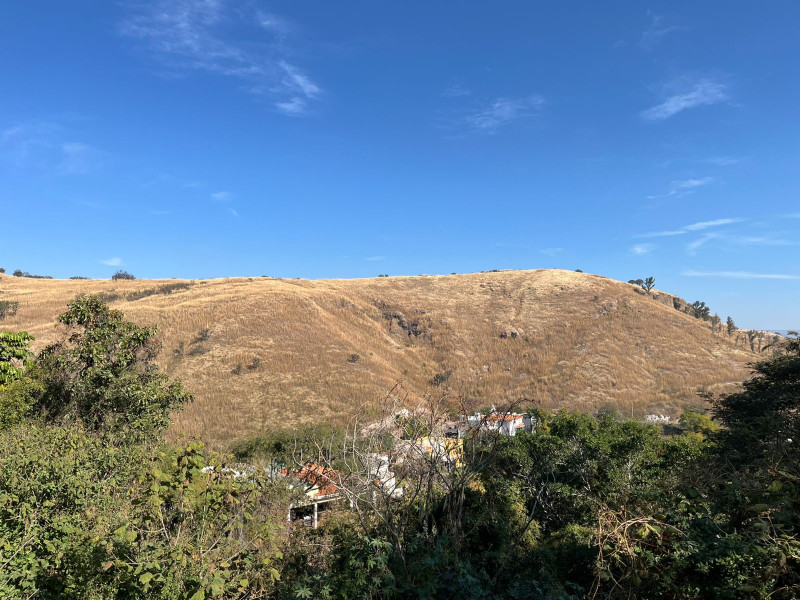 21ff05bd-8a53-4461-a354-f707136c7004