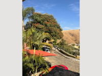 07ae4b65-e24c-4f9a-af57-f23d3598ed3c