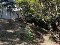 20771d24-d8b5-4542-ae14-32408ea535d6