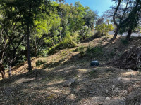 6f1cded7-5349-4cb6-aa8f-6613e627b843