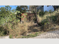 5bb11da3-971f-4472-87e3-112a5d69e3d4