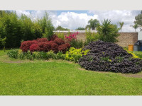 120aa6cb-2948-4b48-8777-f7d3076893d1