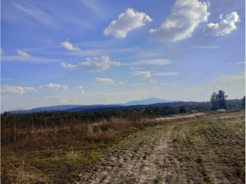 7daf78e4-e13a-4890-b22e-912b5bbee09f