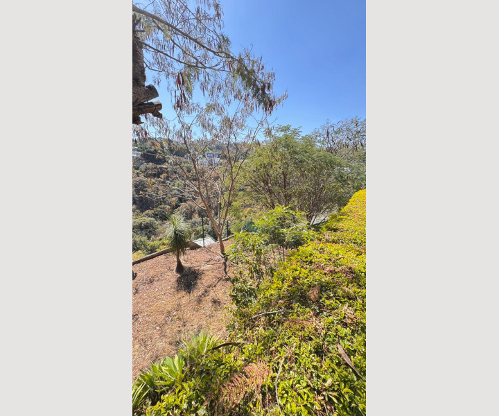 211ac9c0-e82e-4848-af9c-fdc76a5db697