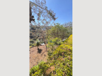 211ac9c0-e82e-4848-af9c-fdc76a5db697