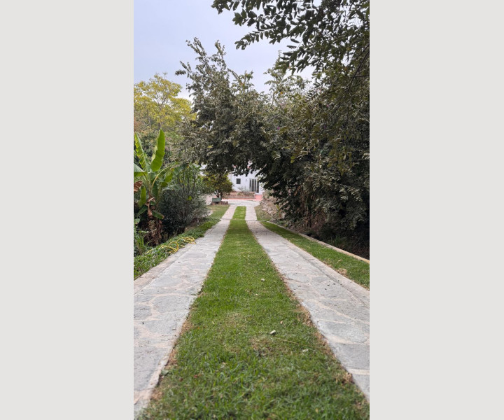 1a74b9b7-6805-4c35-8c5a-9ba4968844f5