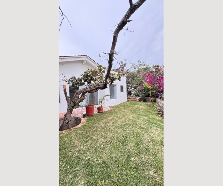 a4d19d9f-7a3a-4d0f-87fb-cd397141a107