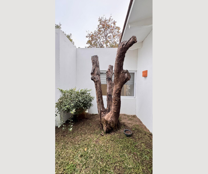 ac51a01d-3f3f-469f-a632-58cbecfb2d64