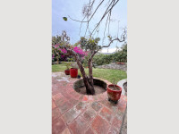 918d99fd-b9d7-4d64-bd75-a8d3d29811bc